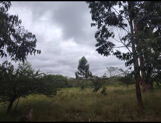 LAND FOR SALE IN CLIFFDALE